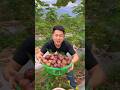 Lots of sweet figs harvest from Farm by Rural Farmer | Delicious  Anjeer #sweet #fruits