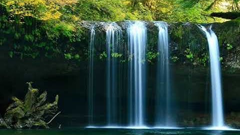 تلاوه هادئه وتريح الأعصاب لسورة المائده بصوت الشيخ عبدالله بصفر