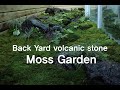 Making A Back Yard Volcanic Stone Moss Garden 카페 뒤의 비밀스러운 화산석 이끼정원