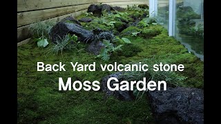 Making A Back Yard Volcanic Stone Moss Garden