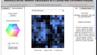 Network2Canvas Tutorial