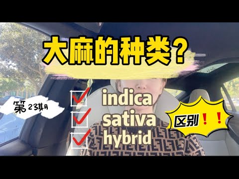 第23期：大麻的种类？indica、sativa