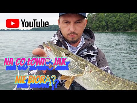 Woblery które otworzyły