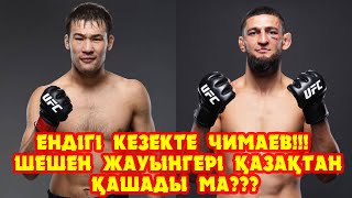 Келесі кезекте Чимаев па??? Шешен жауынгері қазақпен шығудан қашады ма???