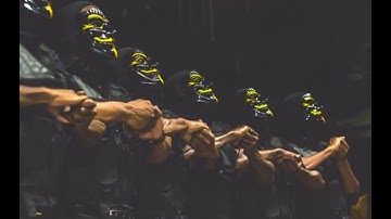 UNT Alphas present "M.A.F.I.A" Probate Fall 2k15 | Shot by @FlashyTvB