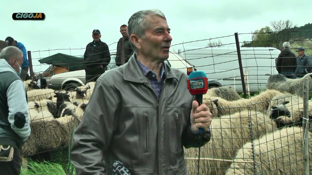 - SEFERI SA VLAŠIĆA O DUBSKOJ PRAMENCI O OVČARSTVU I SIRU DERNEK TURBE 2021