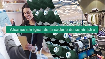 Acerca de Visionng – PLM Fast React