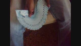 p2.flv