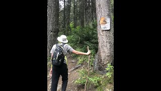 Famous The Chase We Seek Part 1:  Forrest's 100' Waterfall Off His Left Wing Profile