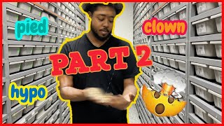 KING AUSTIN ball python collection tour *(holdbacks)* part 2 Profile
