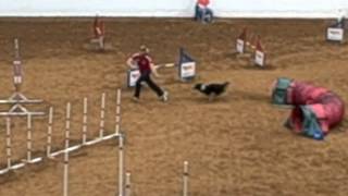 2012 IFCS WAC Individual Jumping (Run 4)