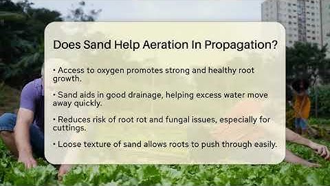 Does Sand Help Aeration In Propagation? - The Plant Enthusiast