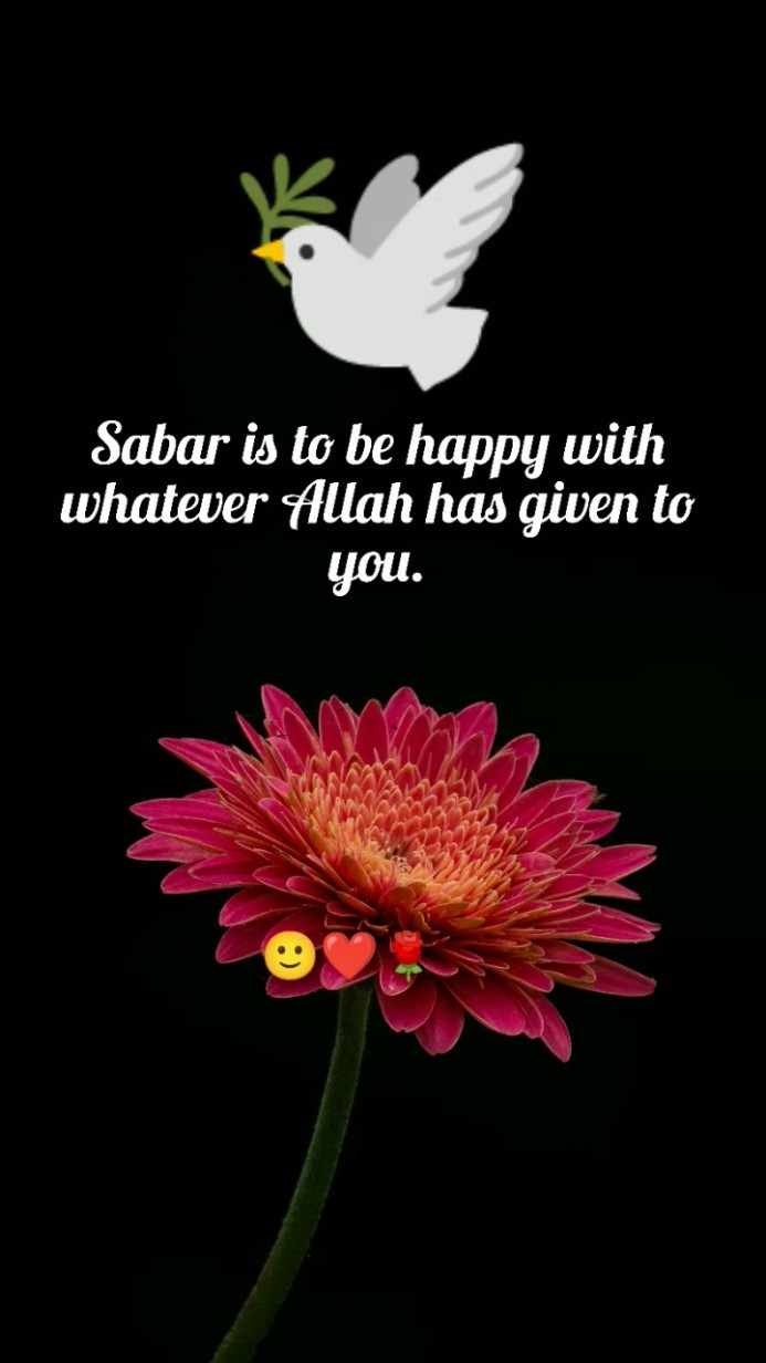 😇My Status - ShareChat