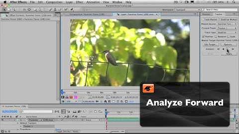 After Effects CS5 201: Motion Tracking and Stabilization - 4 Setting The Search Region