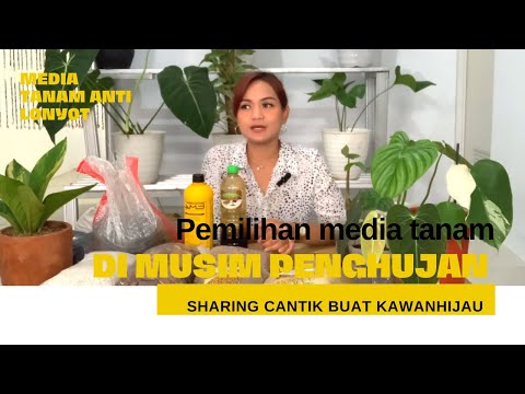 Media tanam yang bagus untuk musim penghujan#sharing #mediatanam