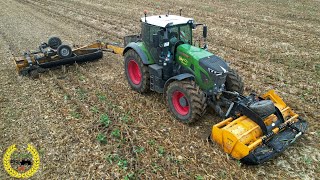 Maisstoppel Mulchen | Fendt 930 Vario | Müthing Mulcher | LU Baltic Agrar Service Kock