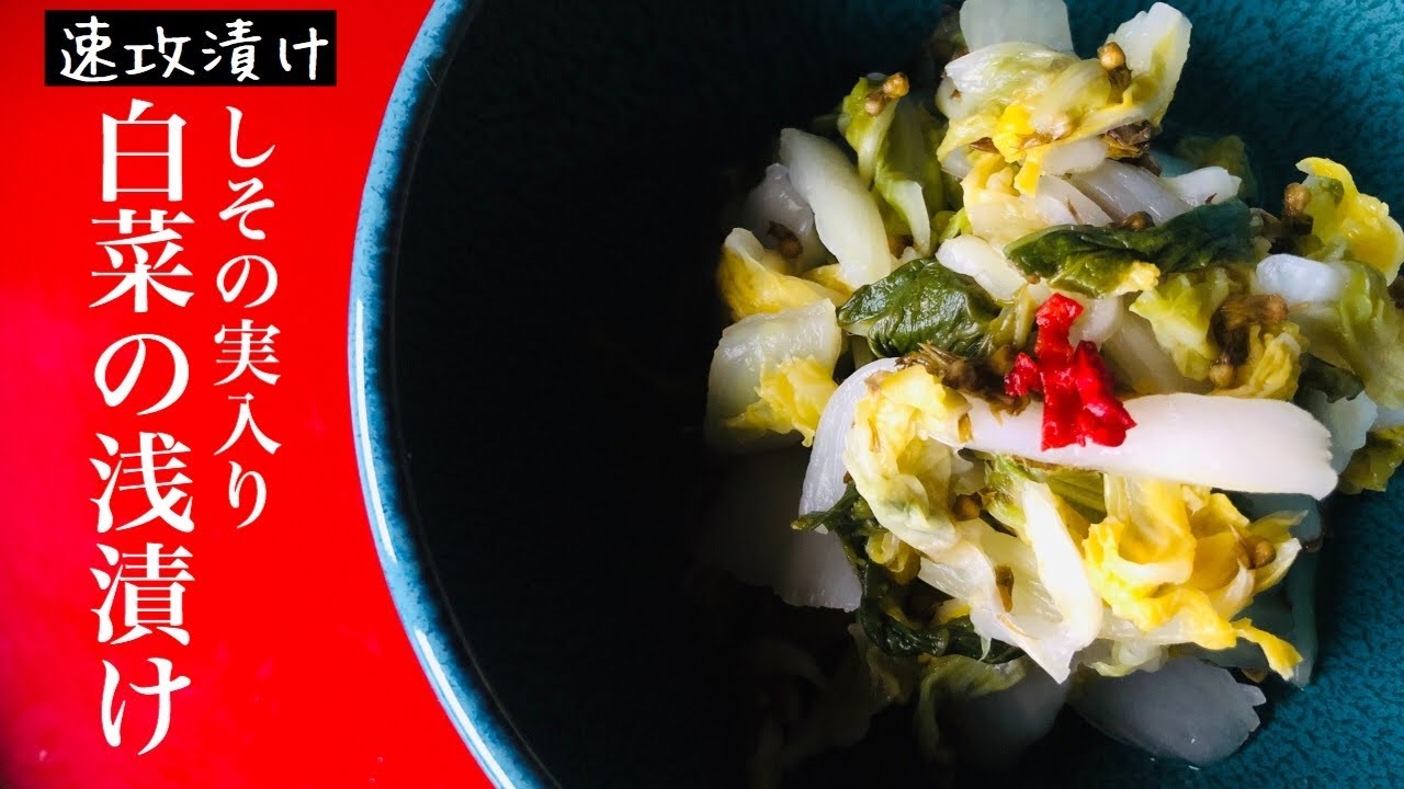 しその実の漬物 白菜の浅漬けの作り方とレシピ ２ 5時間 春の信州 Youtube