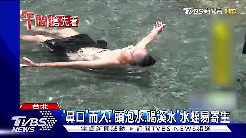 女童玩水後"狂流鼻血" 醫驚見"水蛭鑽鼻" - 天天要聞