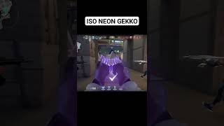 Iso Neon Gekko 
