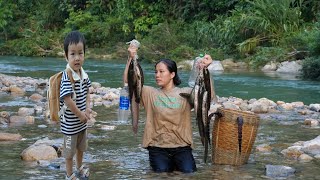Single mother and baby, went to the stream to catch fish - caught a lot of delicious fish