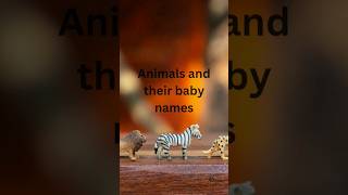 Animals and their baby names - Part 2 🐅🦌🦒 #shorts