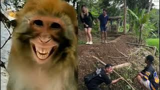 🤣🤣🤣 #funny #funnyvideo