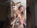 Чуть не порвала меня че творит не сидится ей на ручках смирно Cat Cutecat Funny Чуть не порвала меня че творит не сидится ей на ручках смирно Cat Cutecat Funny