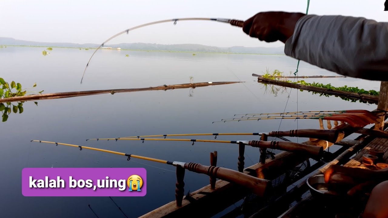 MANCING CIRATA||Nila menang Boss