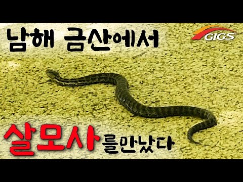 <strong>한국</strong> 등산 Vlog /<strong>야생</strong> 다큐 등산 낚시 여행 유튜버 fishing Korea mountain