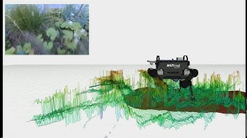 Support Surface Estimation for Legged Robots