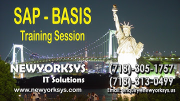SAP BASIS Training Session | BASIS System Log | Newyorksys