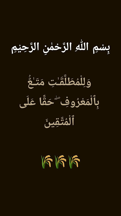 #surahbaqarah #241st #ayat #alquran 🌾
