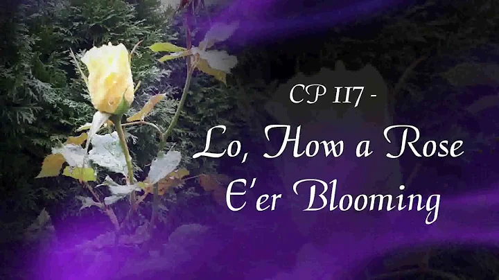 Lo, How a Rose - Debra Gray