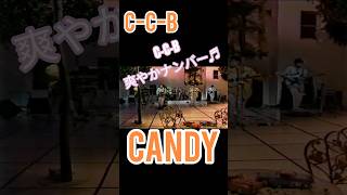 C-C-B (ココナッツ・ボーイズ)🎶Candy 爽やかナンバーです #80s  #ロマンチックが止まらない