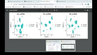 Single-cell analysis of Doublets detection and removal of RNA contamination: DoubletFinder, decontX