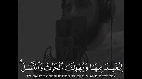 وَإِذَا تَوَلَّىٰ سَعَىٰ فِي الْأَرْضِ لِيُفْسِدَ فِيهَا | القارئ عمر بن عبدالعزيز