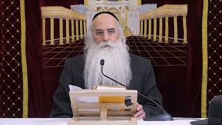 כל הסודות בספר אחד