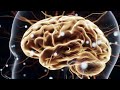 528Hz Healing Frequency – Full Body Healing, Cellular Renewal &amp; Relaxation