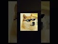 POV that one dog