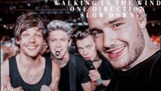 Walking In The Wind- Slowed Down