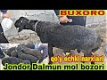 qo'y  echki narxlari  Jondor Dalmun mol bozori narxlari BUXORO arzonlari