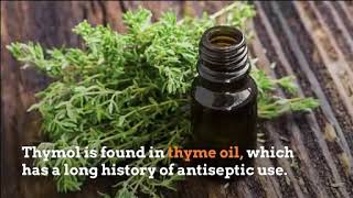 What Is In Our Product Thymol