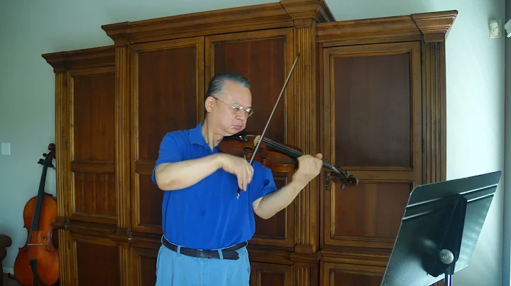 Beethoven Violin Concerto 1st Mvt. (Excerpt) Violin Solo Guangxun Hua