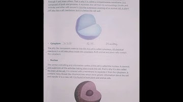 Chapter 2/Part 2/Page 13/Afaq sun series/Science/Class 6/Class 6/MDKA OFFICIAL/