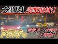 車好きが集う大黒PAに突撃!とんでもない集団とまさかの遭遇 !?