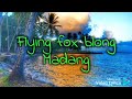 Flying fox blong Madang. Gee Crew PNG Latest Music 2022.