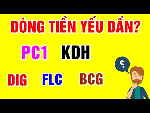 Video F186 - Cổ phiếu DIG - FLC - PC1 - KDH - BCG | Nhận... - youtube