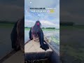 Lage na valo lage na maya hin aii prithibi,,,sad song status 🥀😔#Ranikhan2.0 #shortvideo2026 #like