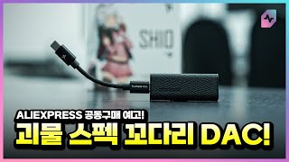 대륙의 구라인가? 대륙의 실수인가? 꼬다리DAC이 SNR 130dB이 나온다고? TRUTHEAR SHIO!