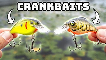Fishing Crankbaits Is EASY With THESE TIPS! (Fall Bass Fishing)